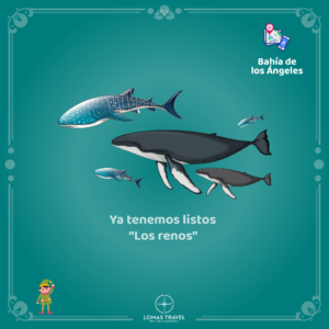 Navidad 3